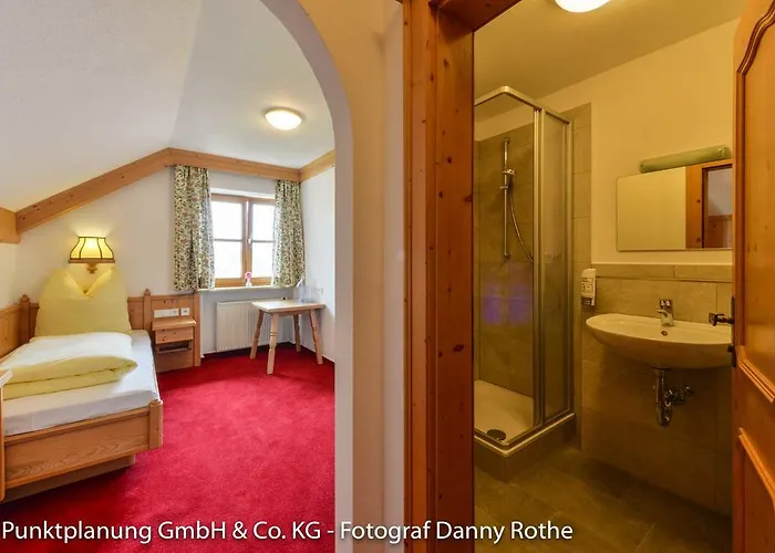 فندق Alter Wirt 3*